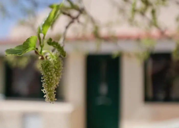 Vakantiehuis House Above The Castle *