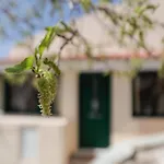 Tatil Evi House Above The Castle *