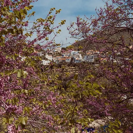 House Above The Castle * Ioulis