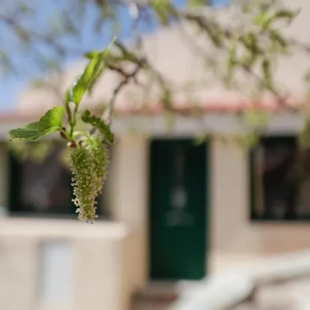 Dom wakacyjny House Above The Castle *